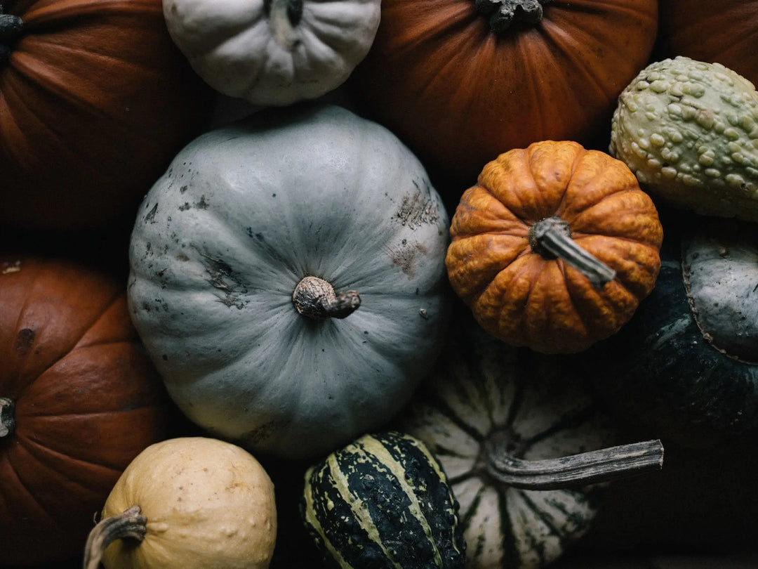Varieties of fresh and nutritious winter vegetables.