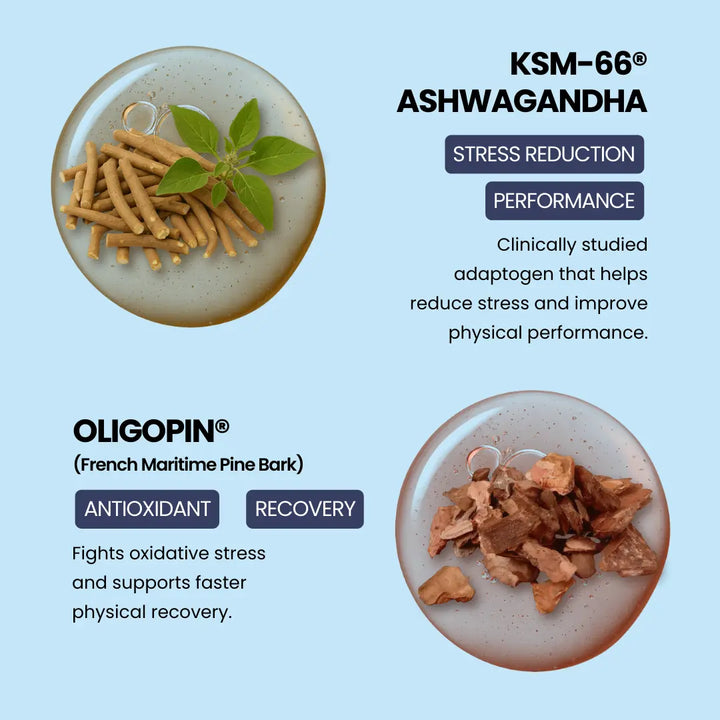 TESTOWIT - Hormone Regulation - 120 cps ORBIS Lifestyle