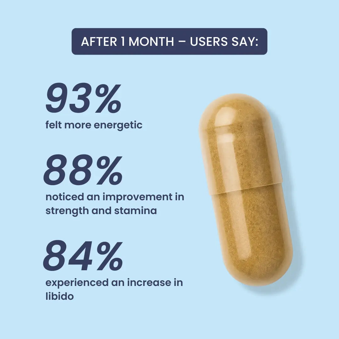 TESTOWIT - Hormone Regulation - 120 cps ORBIS Lifestyle