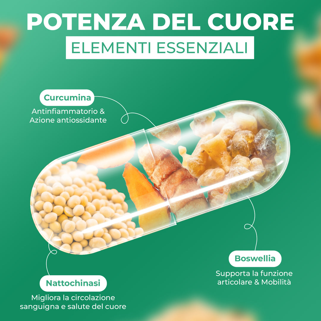 RESET - For Cardiac Function (120 cps) - ORBIS Lifestyle