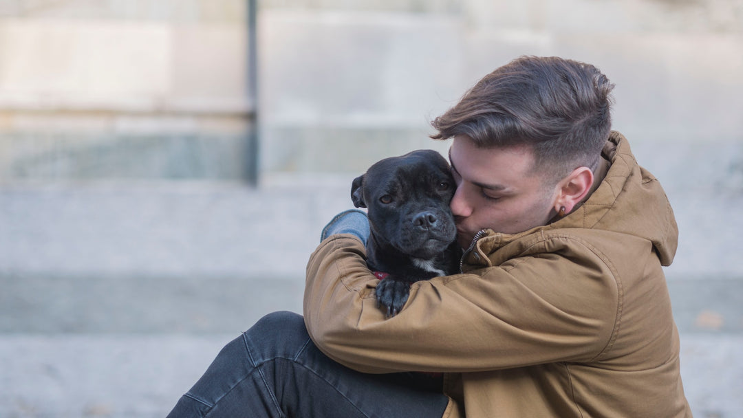 dog-kissed-by-owner.jpg
