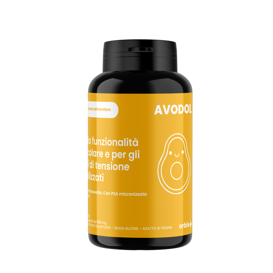 AVODOL - Joint Functionality and Localized States of Tension (90 cps) - ORBIS Lifestyle